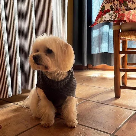 Turisticos San Juan De La Pena Santa Cruz de la Serós