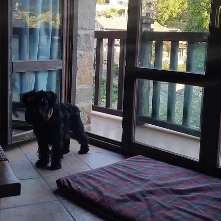 Turisticos San Juan De La Pena *