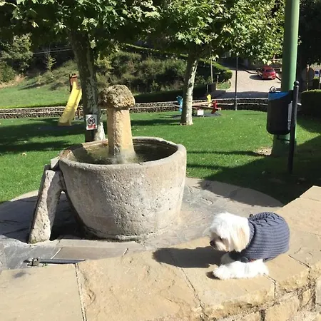 Turisticos San Juan De La Pena Lejlighed Santa Cruz de la Serós