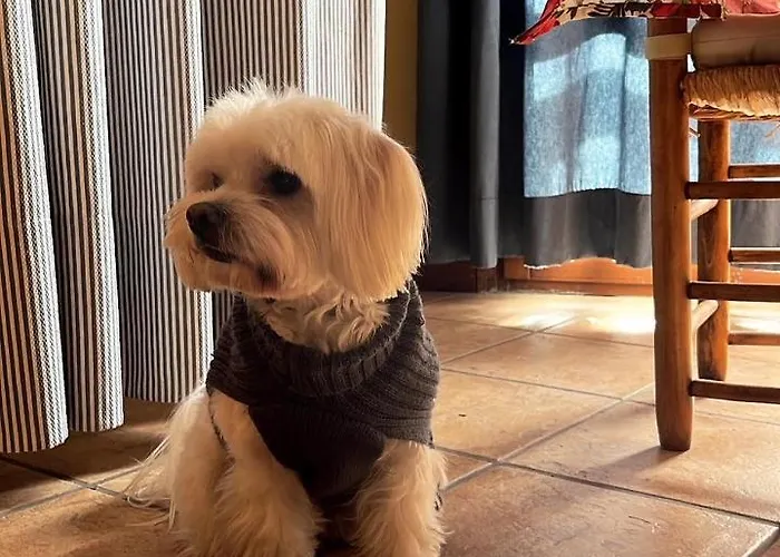 Turisticos San Juan De La Pena Санта-Крус-де-ла-Серос