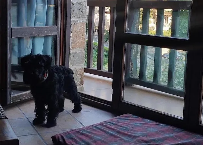 Turisticos San Juan De La Pena *