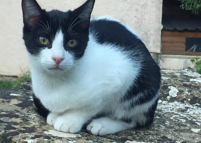 Turisticos San Juan De La Pena Апартаменты *