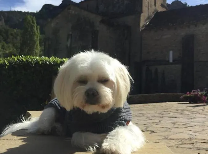 Turisticos San Juan De La Pena Санта-Крус-де-ла-Серос