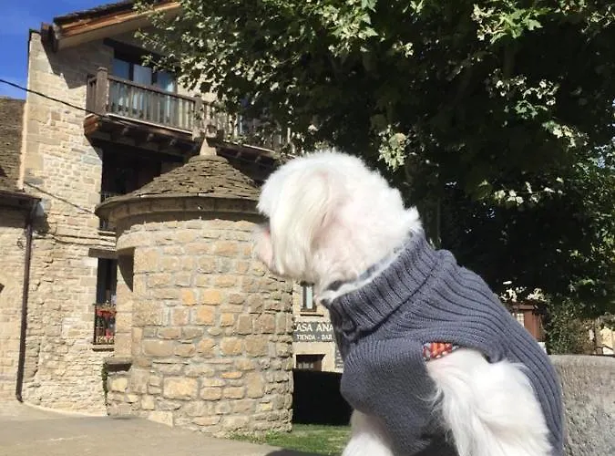 Turisticos San Juan De La Pena * Санта-Крус-де-ла-Серос